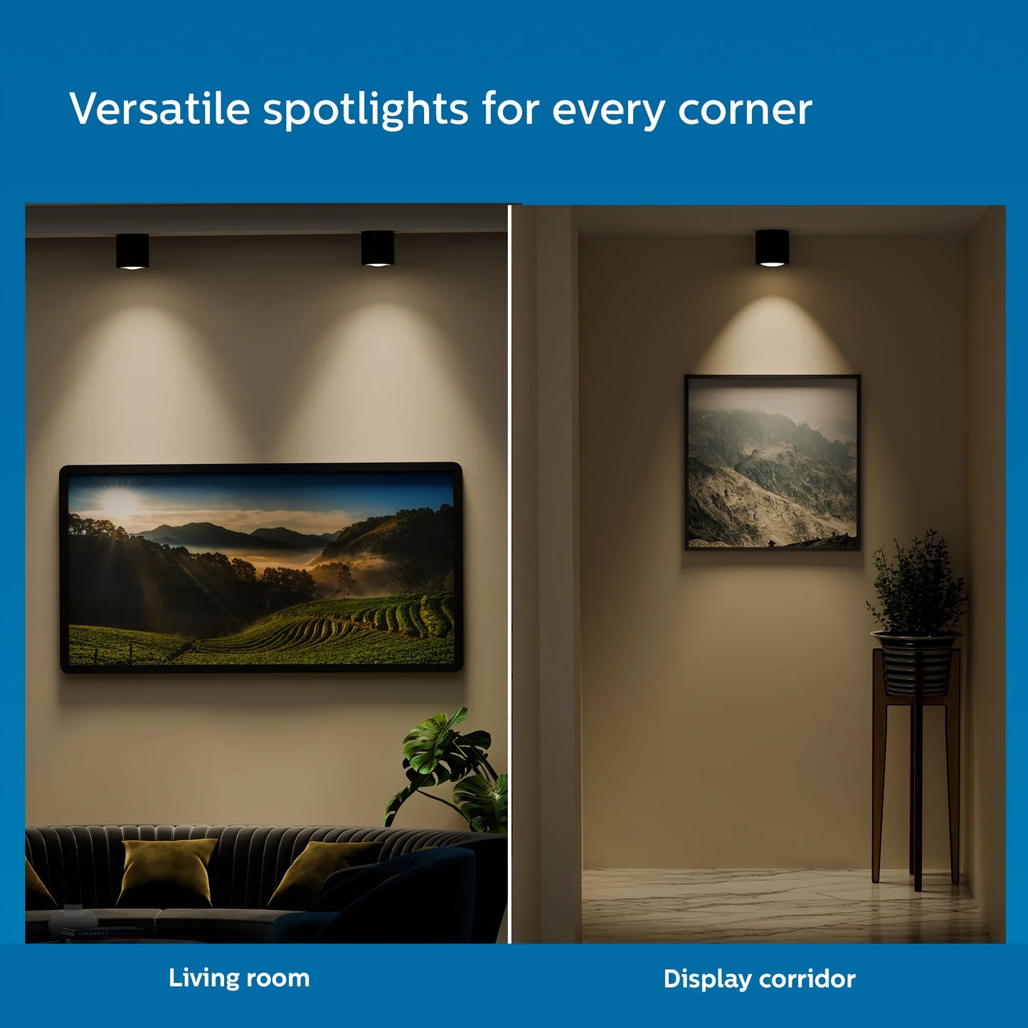 Surface Synthetic Spot