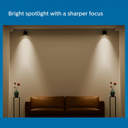 Surface Synthetic Spot