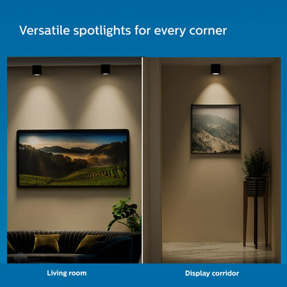 Surface Synthetic Spot