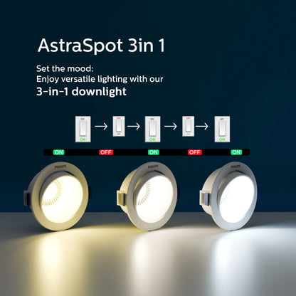 Philips AstraSpot 3-in-1 COB Light
